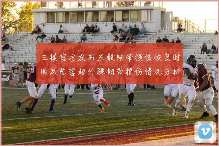 三镇官方发布王毅韧带损伤恢复时间及陈哲超外踝韧带损伤情况分析